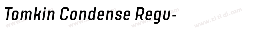 Tomkin Condense Regu字体转换 Tomkin Condense Regu字体转换
